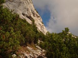 2013-10-08_Guffert (065).JPG
